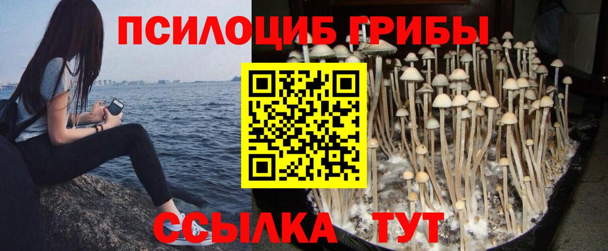 Псилоцибиновые грибы MAGIC MUSHROOMS  Вход с VPN  продажа наркотиков  Псилоцибиновые грибы MAGIC MUSHROOMS  Жигулёвск 