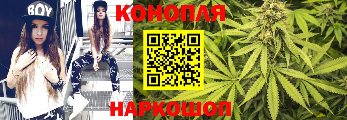 Каннабис сатива Жигулёвск